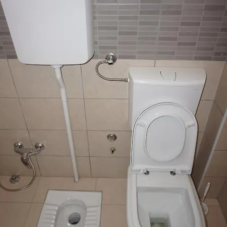 فيلة 4 سراييفو